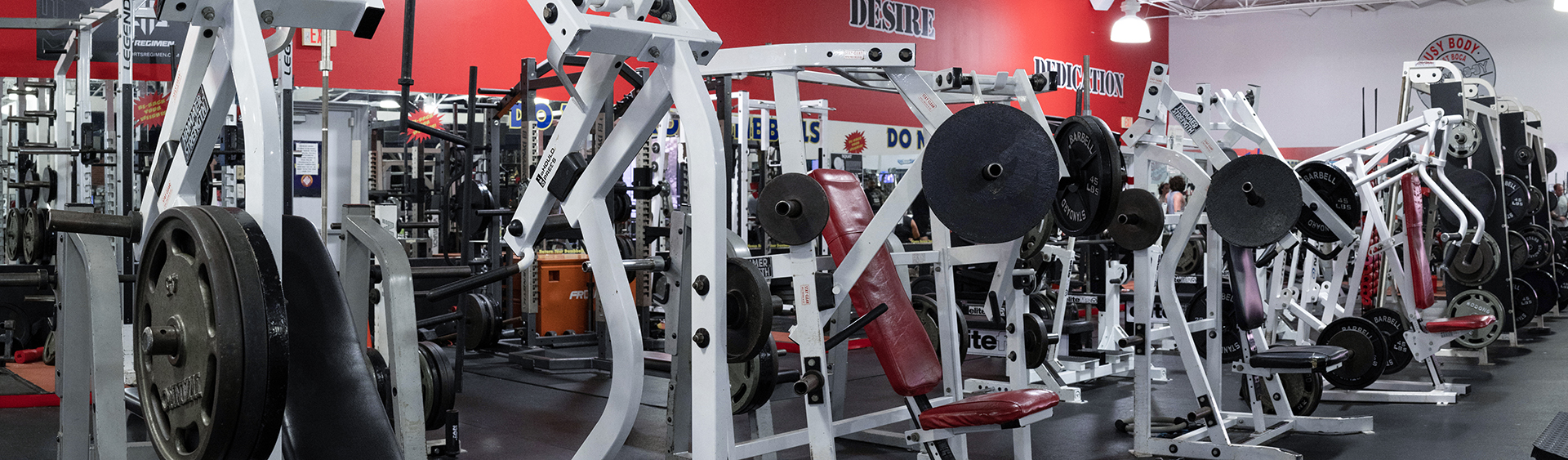 Busybody gym equipment hotsell
